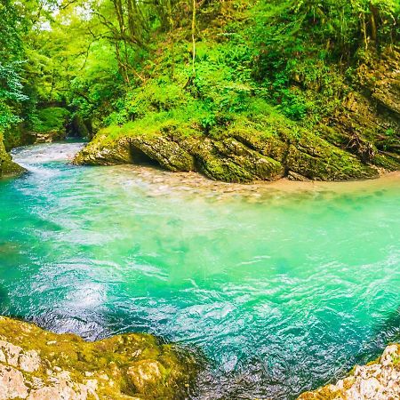 Vila Hanovi Zabljak Exteriér fotografie
