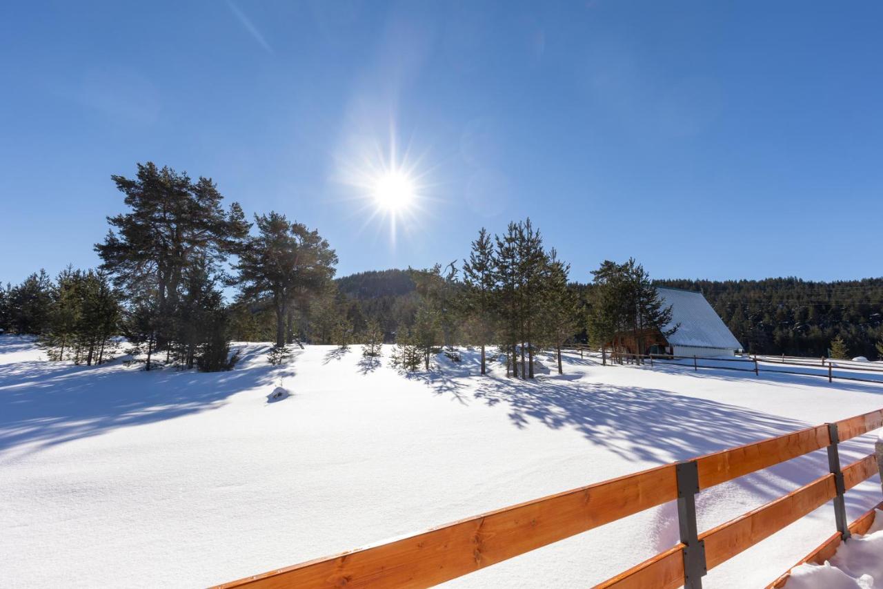 Vila Hanovi Zabljak Exteriér fotografie