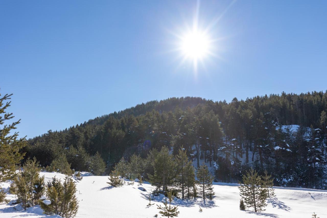 Vila Hanovi Zabljak Exteriér fotografie